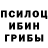 Галлюциногенные грибы Cubensis Slava Regul