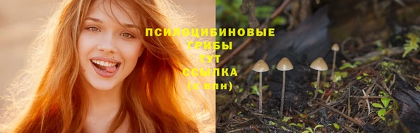 хмурый Белоозёрский