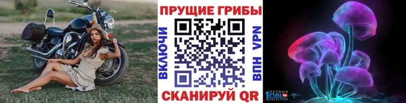 Псилоцибиновые грибы Psilocybine cubensis  Краснослободск 